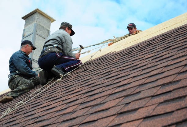 Best Roof Repair Services  in Middlebush, NJ
